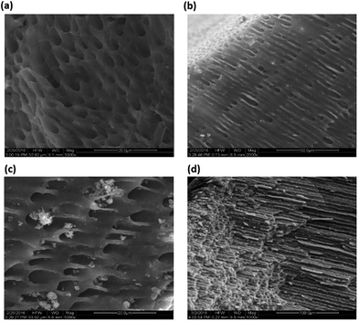 image file: c6ra12342b-f3.tif