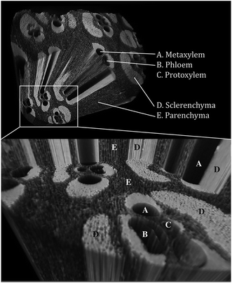 image file: c6ra12516f-f5.tif