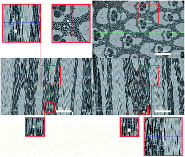 image file: c6ra12516f-f6.tif