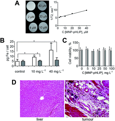 image file: c6ra13178f-f4.tif