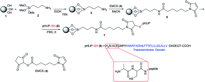 image file: c6ra13178f-s1.tif