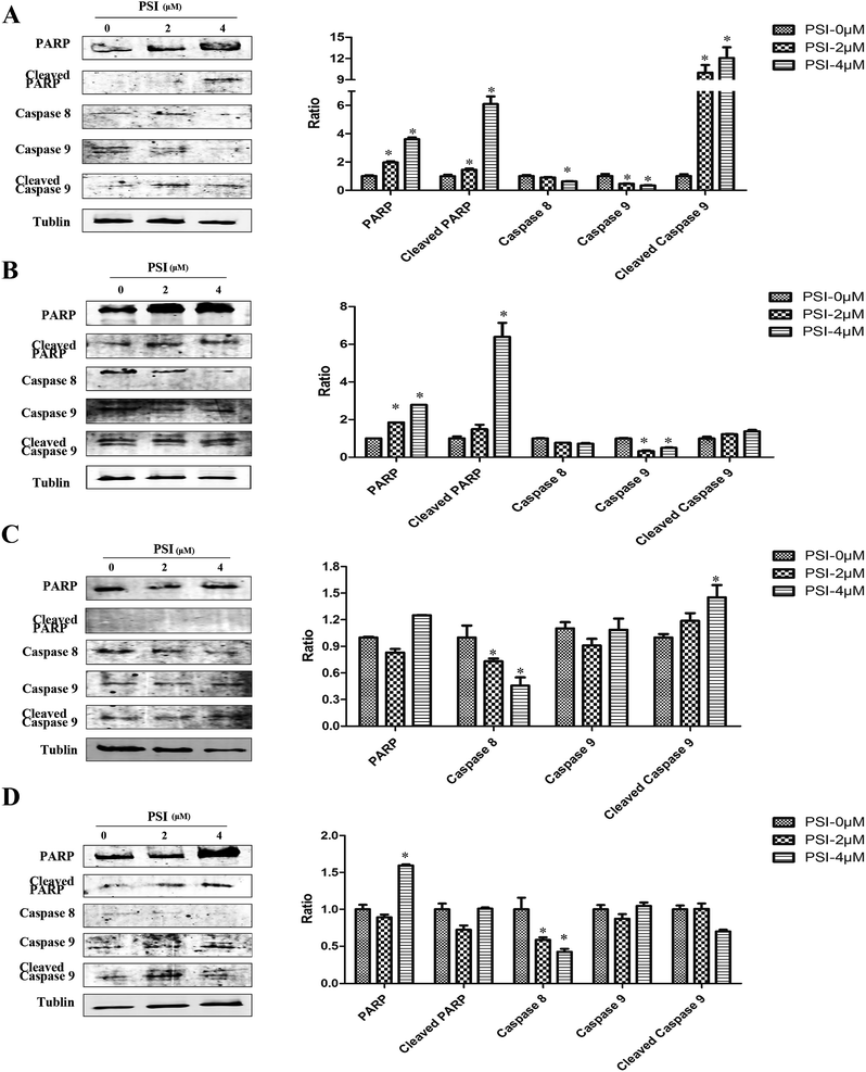 image file: c6ra13352e-f6.tif