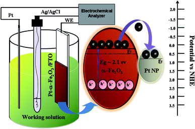 image file: c6ra13385a-f13.tif