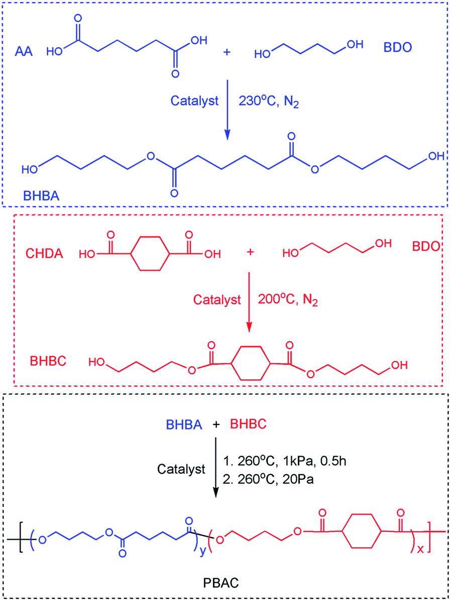 Role of cis 1 4 cyclohexanedicarboxylic acid in the regulation of