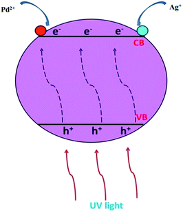 image file: c6ra13613c-f2.tif