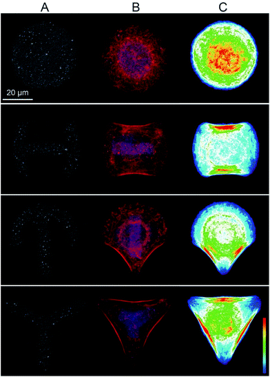 image file: c6ra13782b-f1.tif