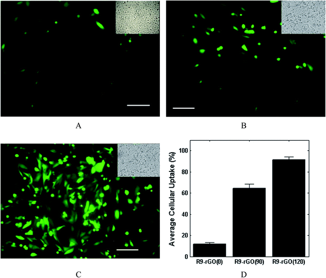 image file: c6ra13822e-f6.tif