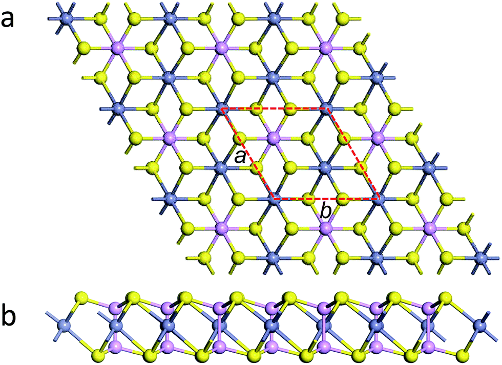 Tunable electronic structures in MPX 3 (M = Zn, Cd; X = S, Se 