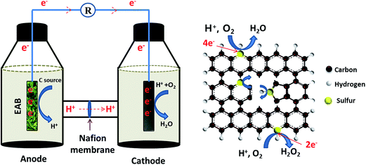 image file: c6ra14114e-f3.tif