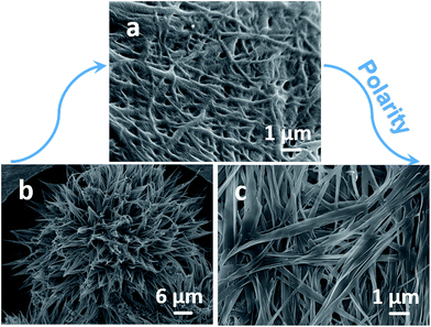 image file: c6ra14563a-f4.tif