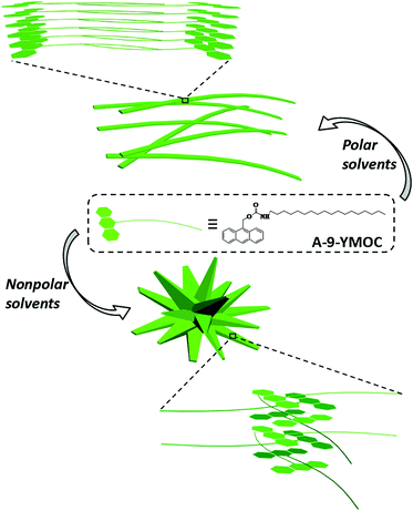 image file: c6ra14563a-s1.tif