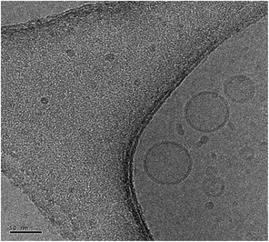 image file: c6ra15713k-f2.tif