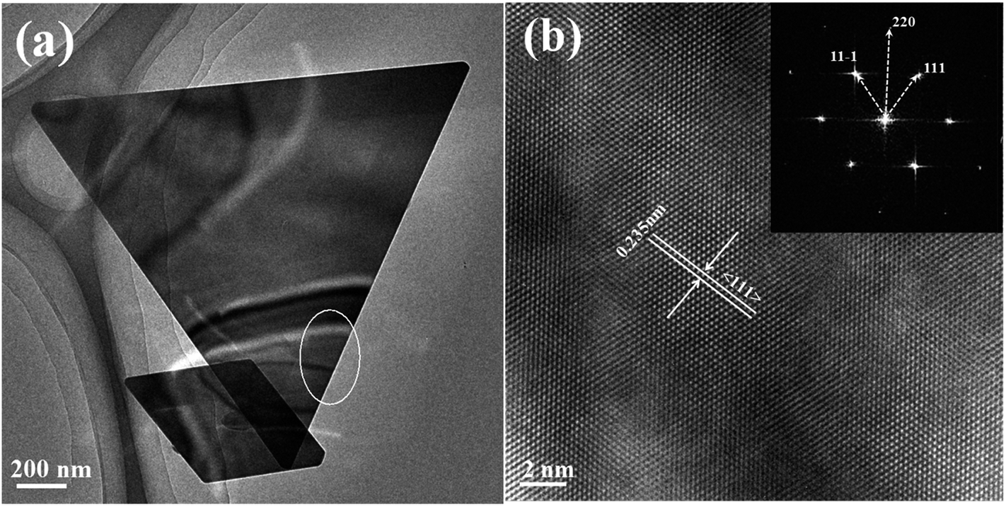 Vaporphase preparation of singlecrystalline thin gold microplates