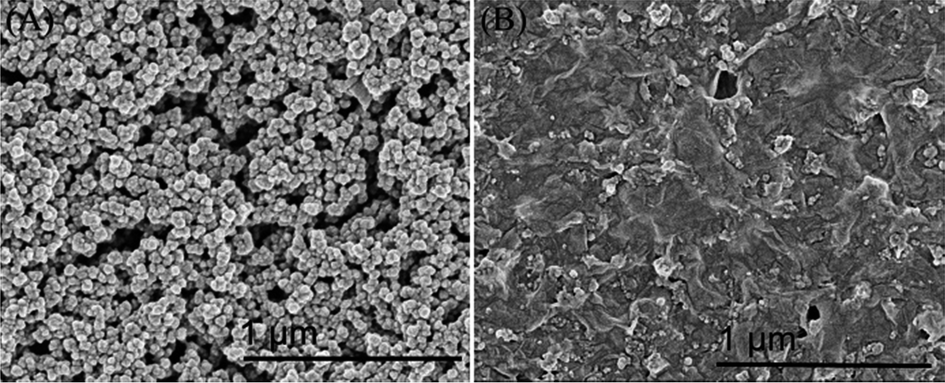 ※326 Facile one-pot preparation of Pd–Au/PEDOT/graphene