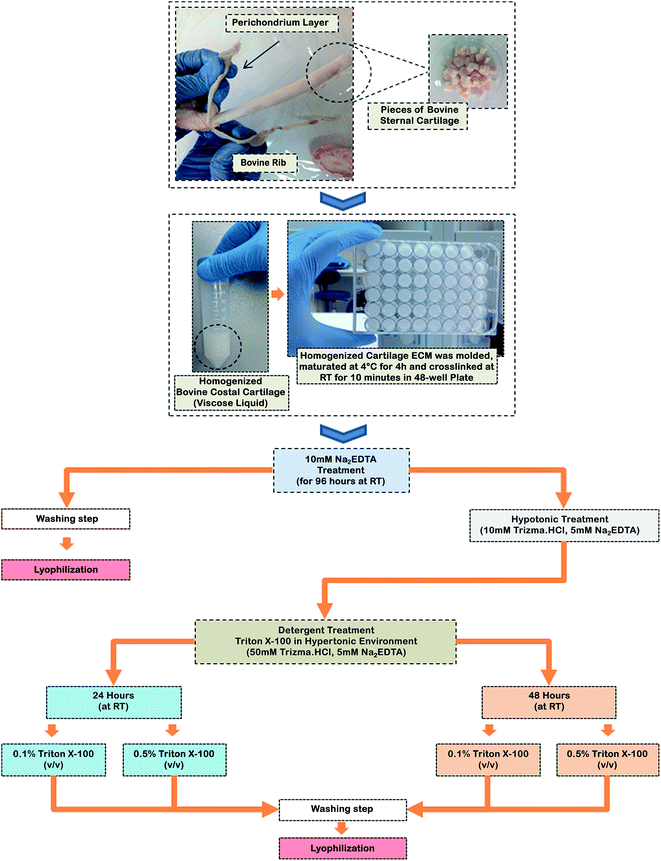 image file: c6ra16647d-s1.tif