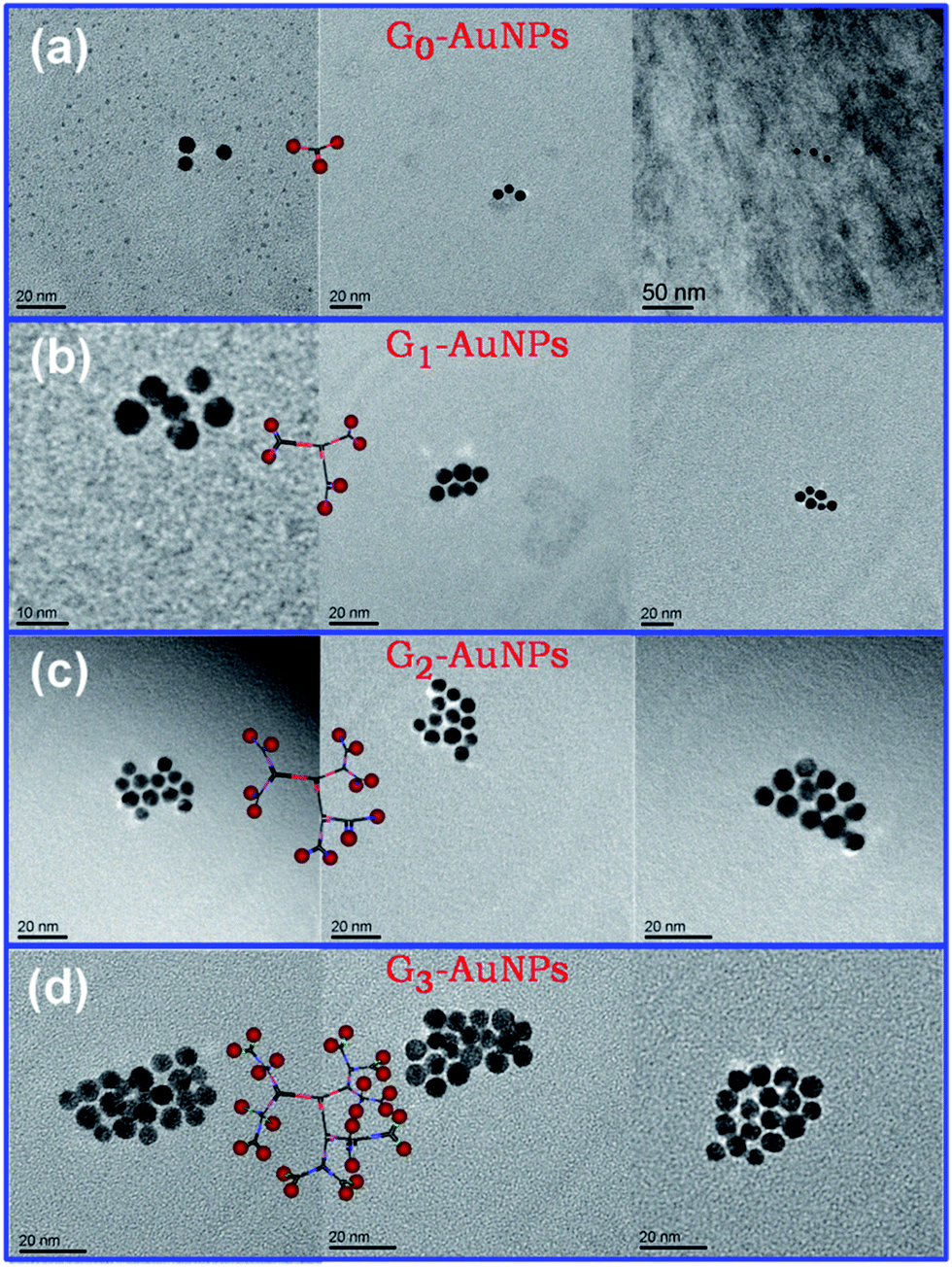 Number-controlled Spatial Arrangement Of Gold Nanoparticles With DNA ...