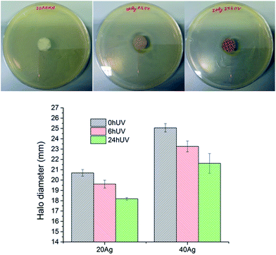 image file: c6ra16876k-f7.tif