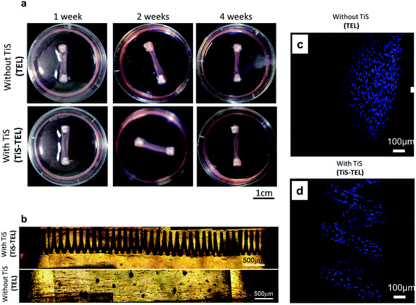 image file: c6ra18005a-f1.tif