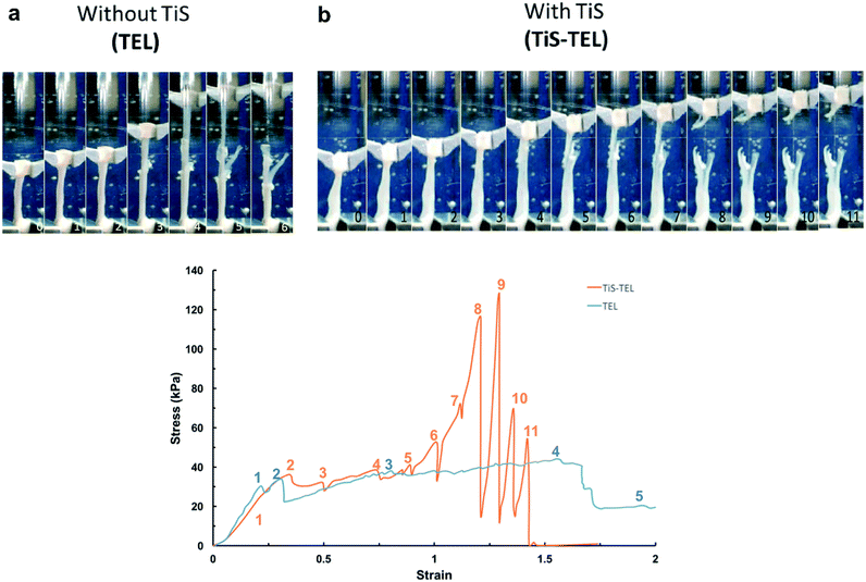image file: c6ra18005a-f4.tif