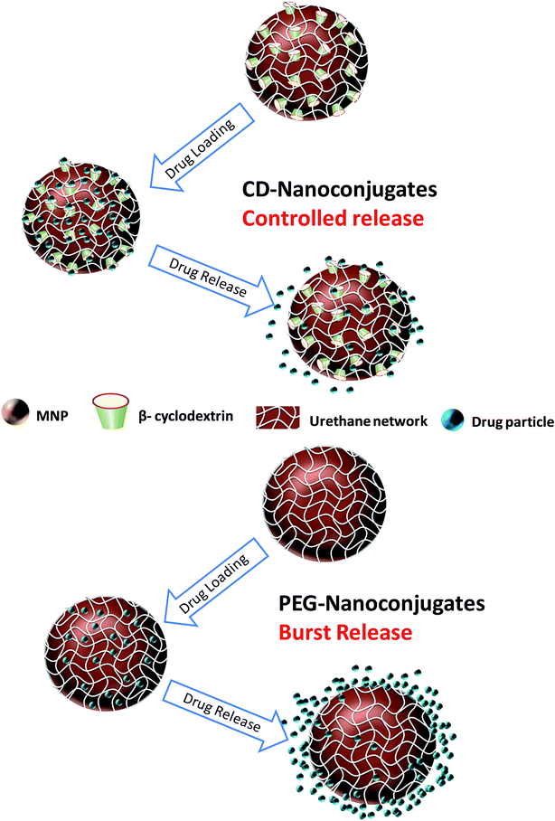 image file: c6ra18030b-s2.tif