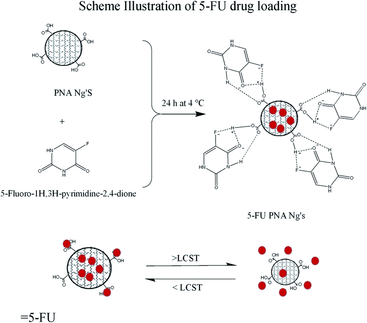 image file: c6ra18034e-s2.tif