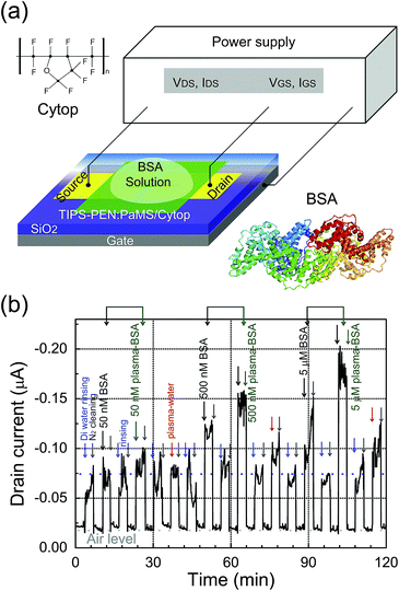 image file: c6ra18545b-f7.tif