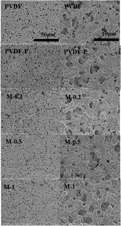 image file: c6ra18714e-f5.tif