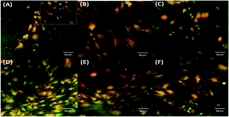 image file: c6ra18984a-f5.tif