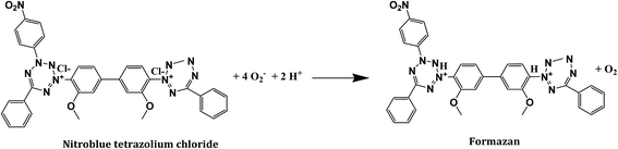 image file: c6ra20702b-s1.tif