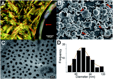 image file: c6ra20933e-f1.tif