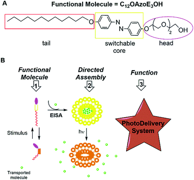 image file: c6ra20933e-s1.tif