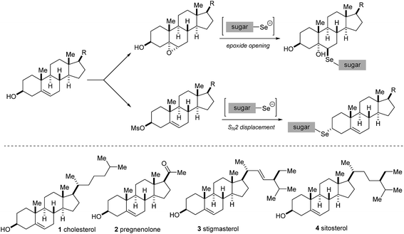 image file: c6ra21485a-s1.tif