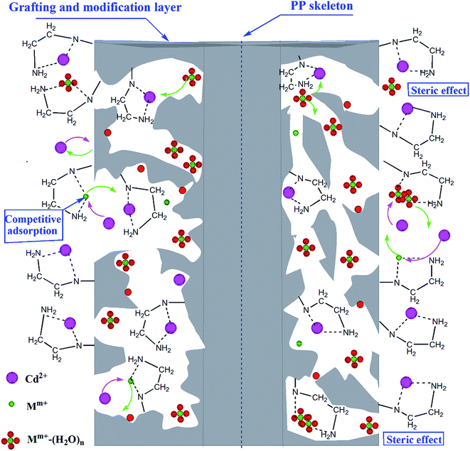 image file: c6ra21713c-s2.tif