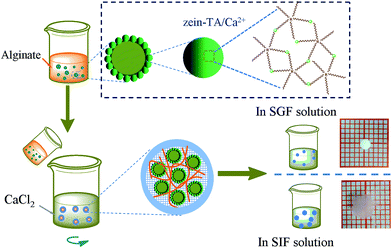 image file: c6ra21755a-s1.tif