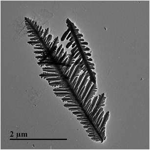 image file: c6ra23165a-f7.tif