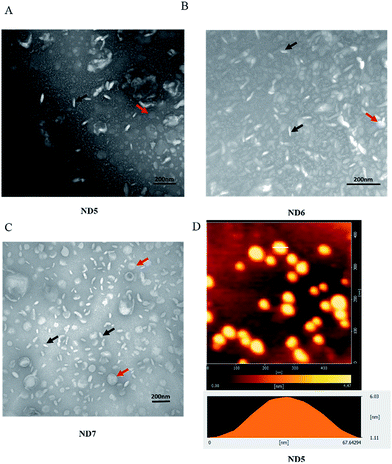 image file: c6ra24268e-f1.tif
