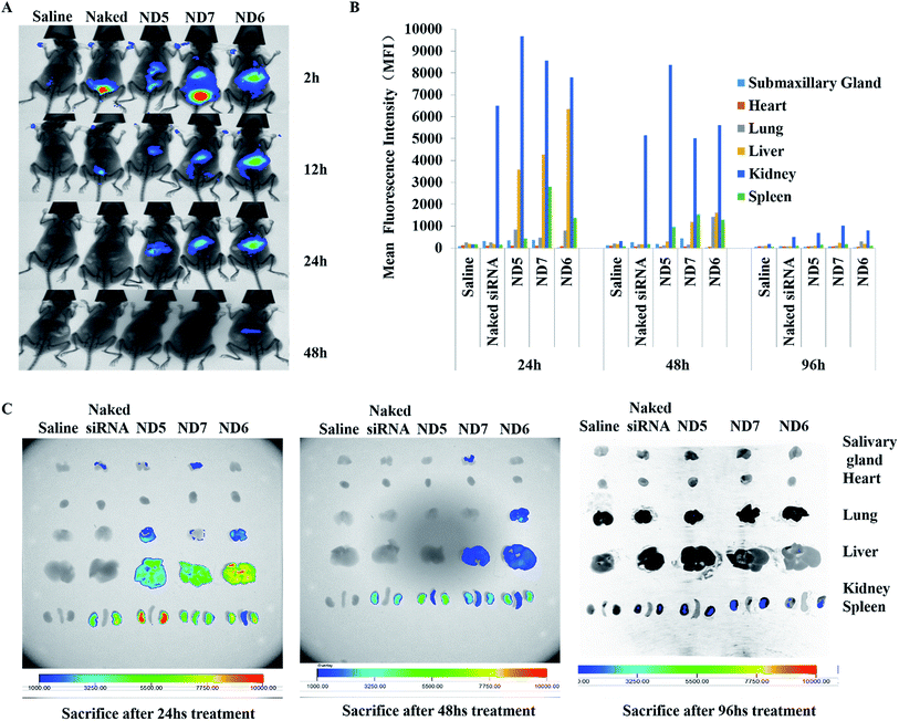 image file: c6ra24268e-f5.tif