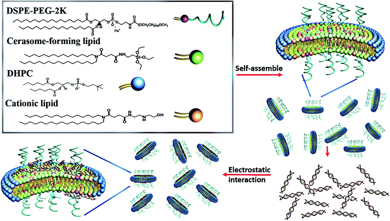 image file: c6ra24268e-s1.tif