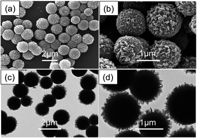 image file: c6ra24478e-f2.tif