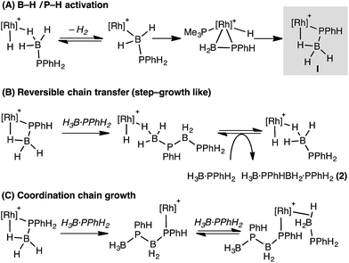 Dehydrocoupling Of Phosphine Boranes Using The Rhcp Me Pme 3 Ch 2 Cl 2 Bar F 4 Precatalyst Stoichiometric And Catalytic Studies Chemical Science Rsc Publishing Doi 10 1039 C5scc