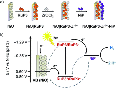 Photoelectrochemical hydrogen production in water using a layer-by-layer assembly of a Ru dye and Ni catalyst on NiO