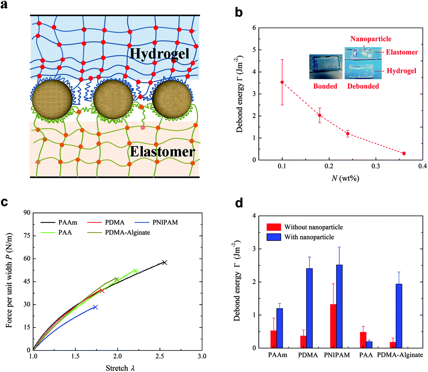 Highly stretchable rubberlike hydrogel with a homogeneous model