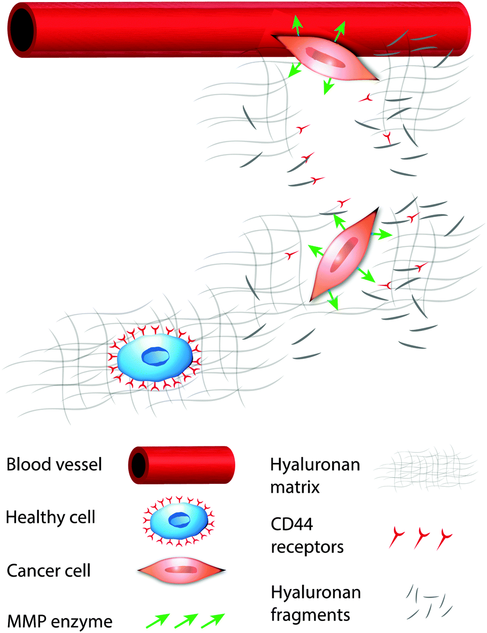 https://pubs.rsc.org/image/article/2016/SM/c6sm00513f/c6sm00513f-f2_hi-res.gif