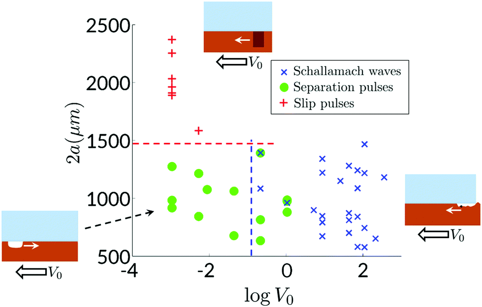 Slow wave propagation in soft adhesive interfaces - Soft Slow wave propagation in soft adhesive interfaces - Soft