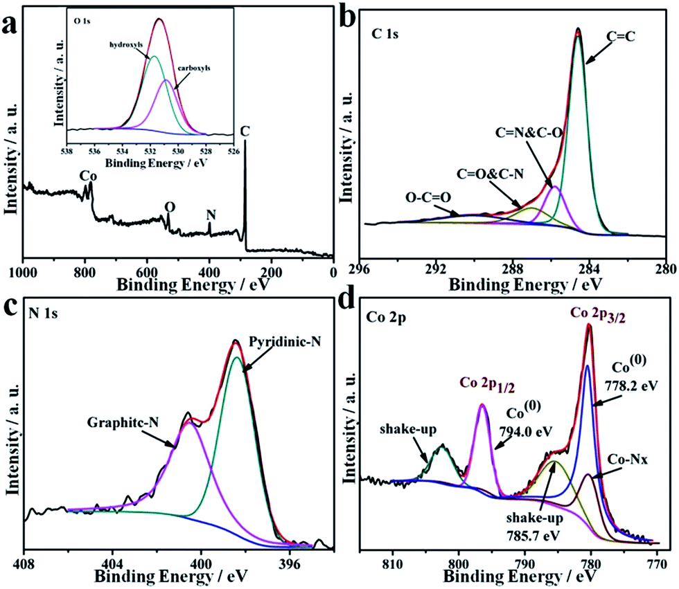 Transition Metals Fe Co And Ni Encapsulated In Nitrogen Doped Carbon Nanotubes As Bi Functional Catalysts For Oxygen Electrode Reactions Journal Of Materials Chemistry A Rsc Publishing Doi 10 1039 C5taj