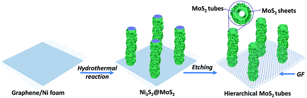 Active sites-enriched hierarchical MoS 2 nanotubes: highly active 