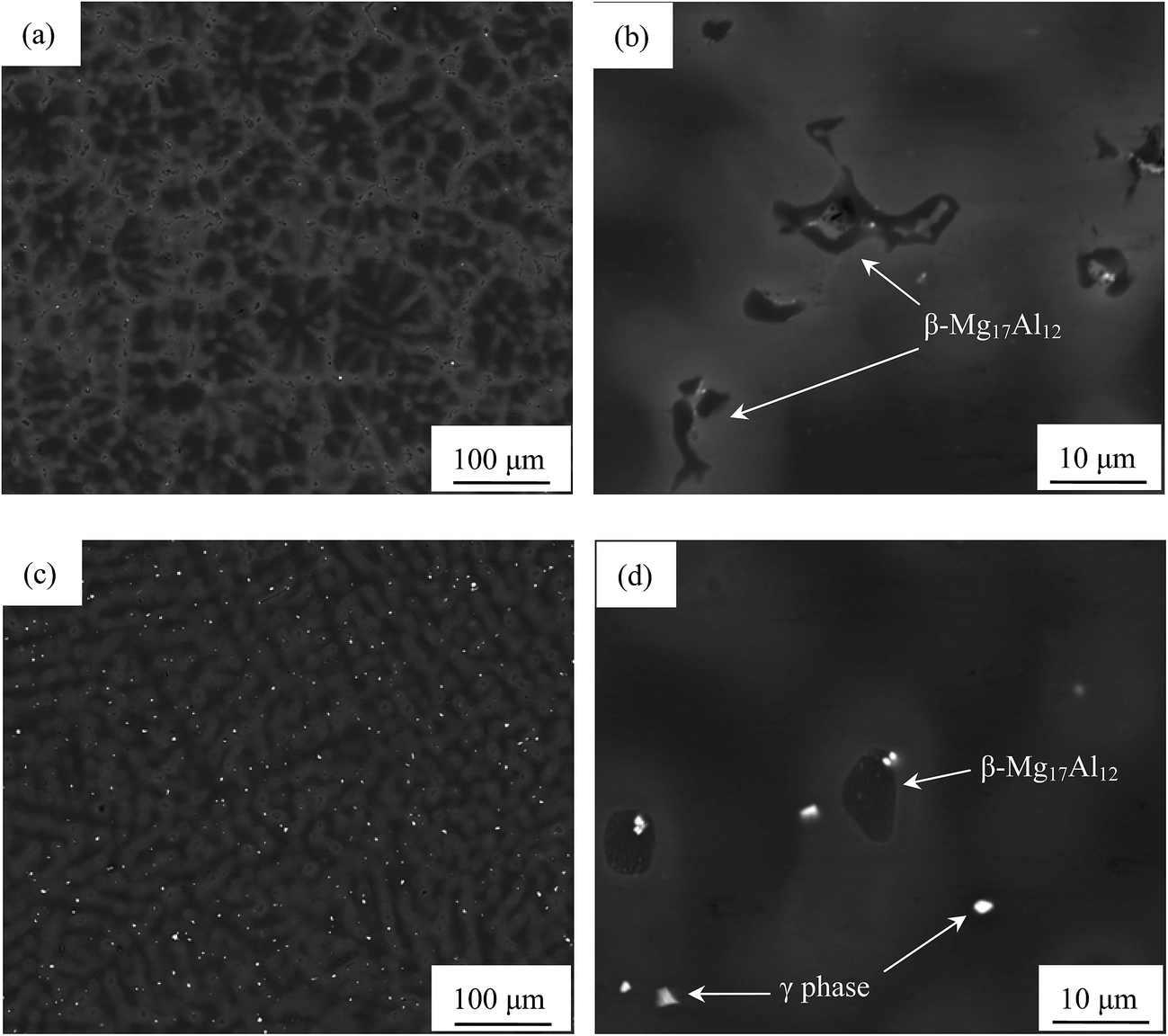 Electrochemical Discharge Performance Of The Mg Al Pb Ce Y Alloy As The Anode For Mg Air Batteries Journal Of Materials Chemistry A Rsc Publishing Doi 10 1039 C6taa