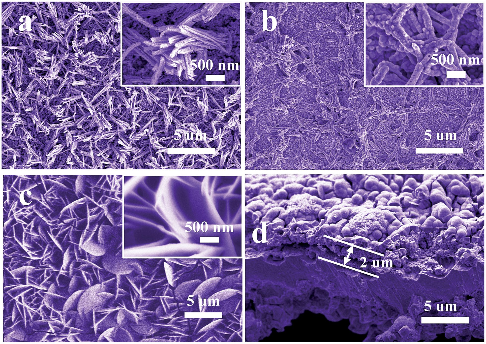Three-dimensional flexible electrode derived from low-cost nickel 