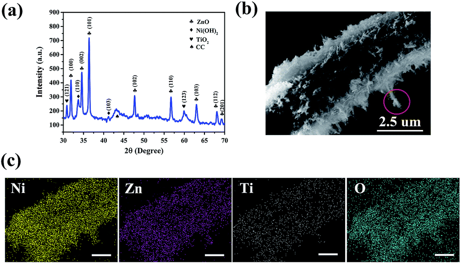 Conductive Adhesives for Scanning Electron Microscopy