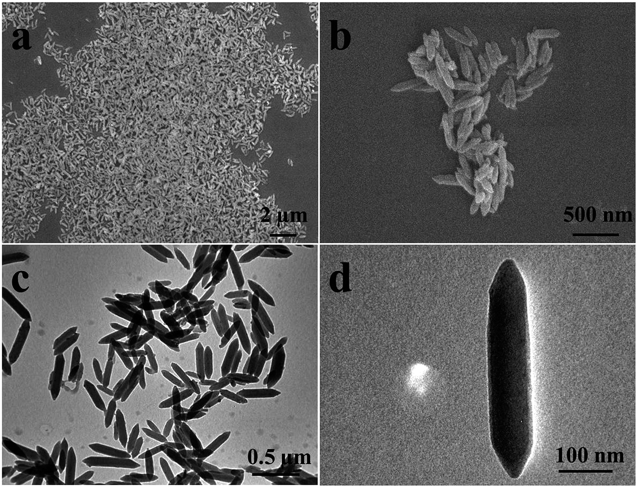 MOF-templated nanorice–nanosheet core–satellite iron